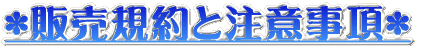 �s�̔��@�K�ƒ��ӎ����t