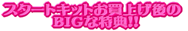 �X�^�[�g�L�b�g�����グ��� �@�a�h�f�ȓ��T�I�I 