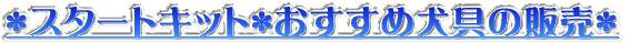 �X�^�[�g�L�b�g�E�������ߌ���̔̔� 