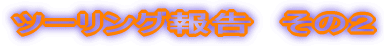 �c�[�����O�񍐁@���̂Q 