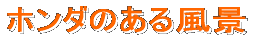 �z���_�̂��镗�i