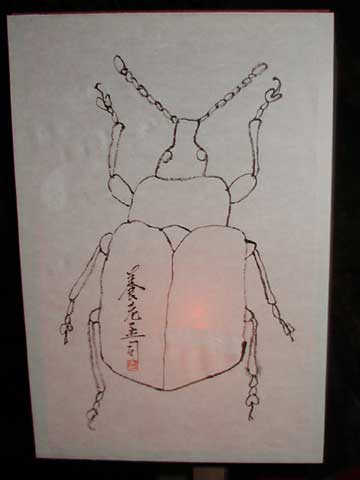 ڂڂ