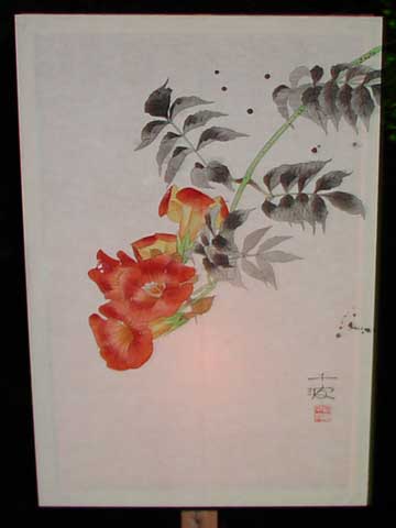 ڂڂ