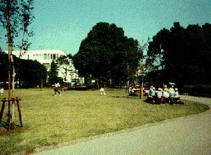 �����L��