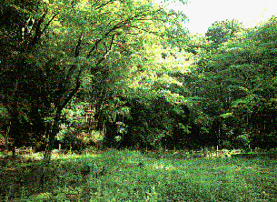 ���R�ώ@��