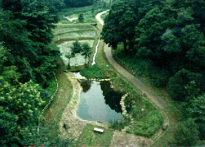 ���R�ώ@��