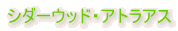 �V�_�[�E�b�h�E�A�g���A�X