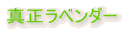�^�����x���_�[